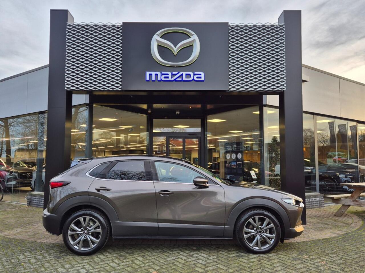 Mazda CX-30 E-SKYACTIV-X 186 6MT M-HYBRID LUXURY