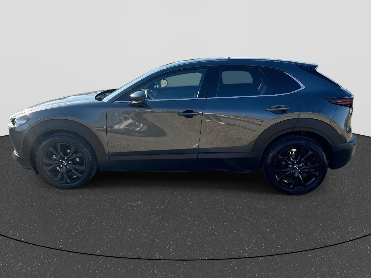 Mazda CX-30 2.0 e-SkyActiv-G M Hybrid Homura | Rijklaar | Apple Carplay | Stoelverwarming | Camera