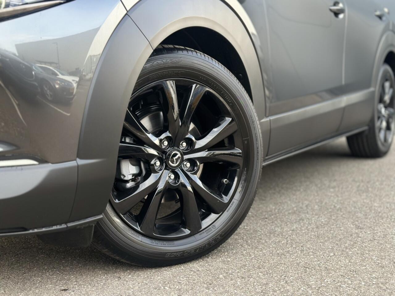 Mazda CX-30 2.0 eSkyActiv-X 186 PK Nagisa Automaat