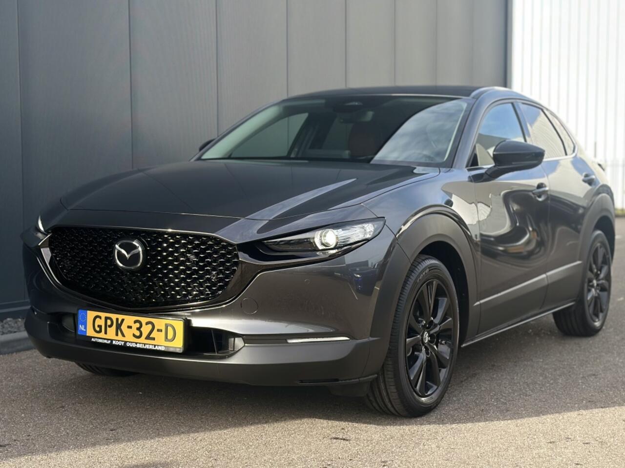Mazda CX-30 2.0 eSkyActiv-X 186 PK Nagisa Automaat