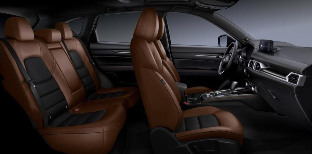 Mazda CX-30 2.5 e-SkyActiv-G M Hybrid Nagisa / Machine Grey