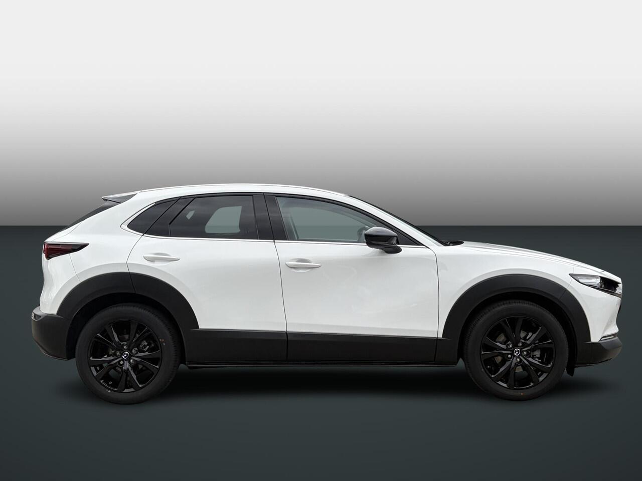 Mazda CX-30 2.5 e-SkyActiv-G M Hybrid Nagisa | BOSE | Camera | RIJKLAARPRIJS!