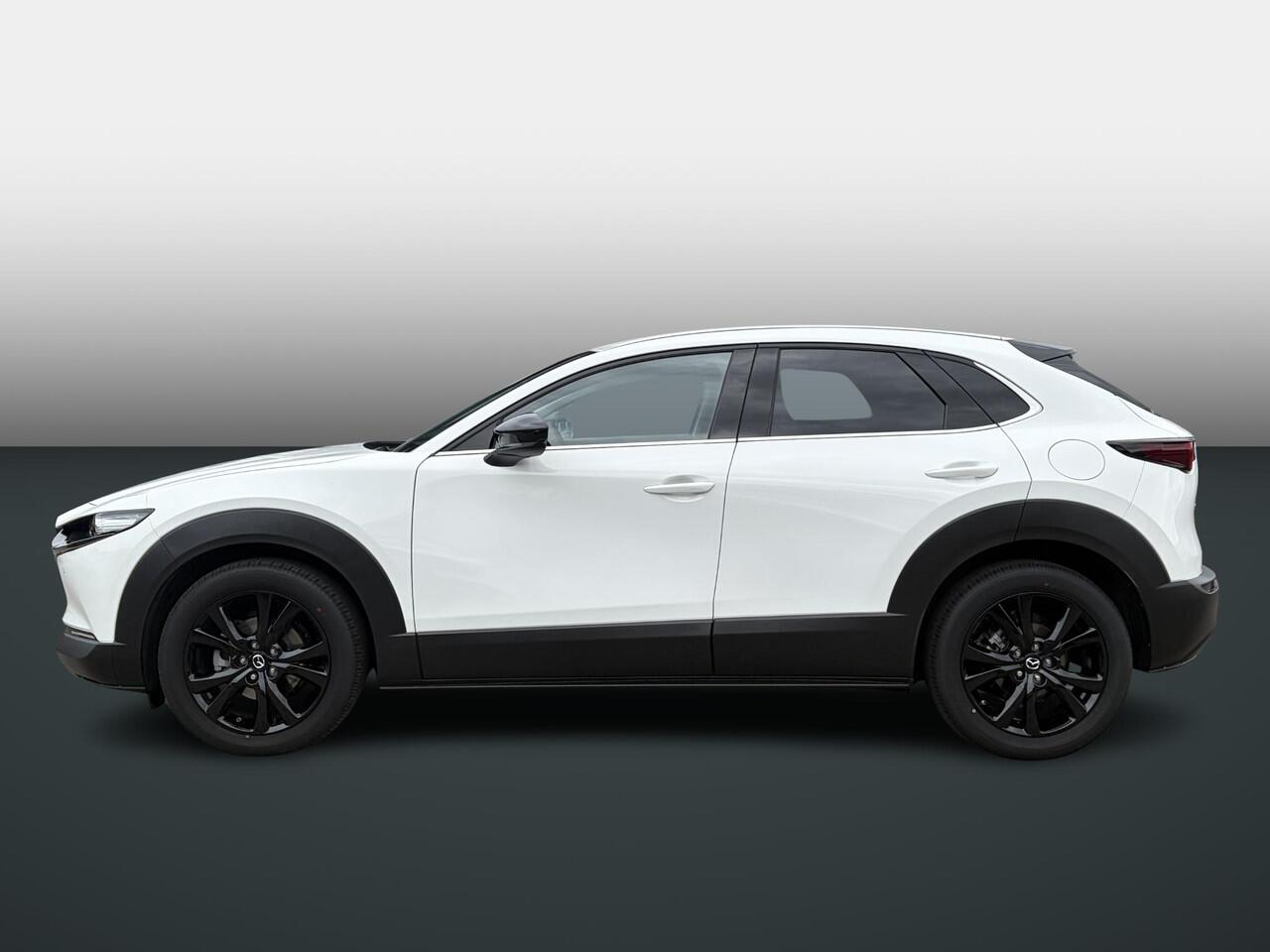 Mazda CX-30 2.5 e-SkyActiv-G M Hybrid Nagisa | BOSE | Camera | RIJKLAARPRIJS!