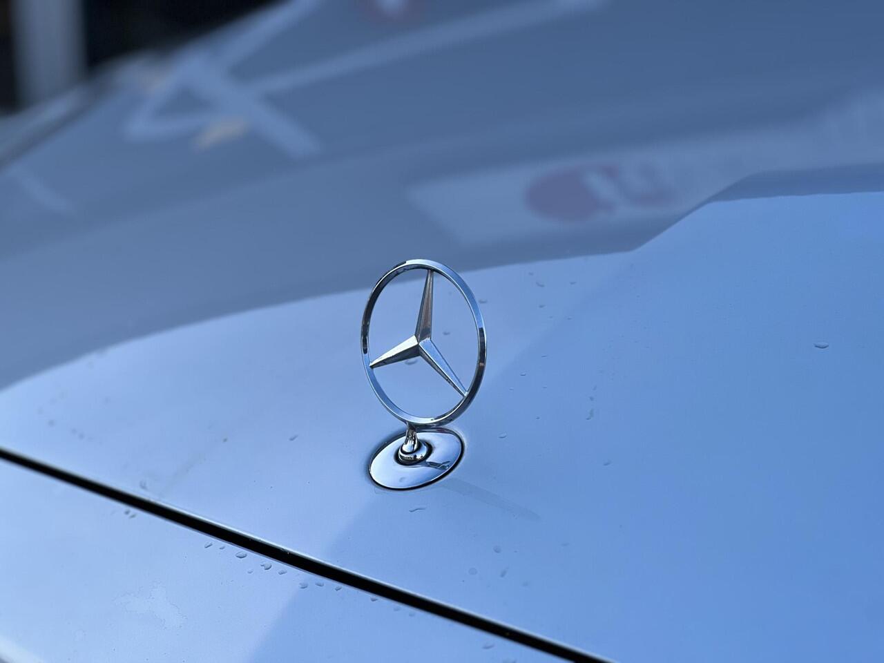 Mercedes-Benz E-KLASSE All-Terrain 220 d 4MATIC Business / Pano / Air Matic / Trekhaak / 2019