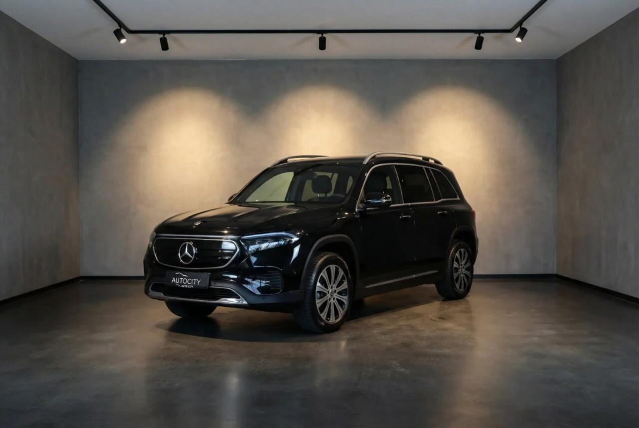 Mercedes-Benz EQB EQB 250 67 kWh 7 Persoons l Leder l Camera l Widescreen