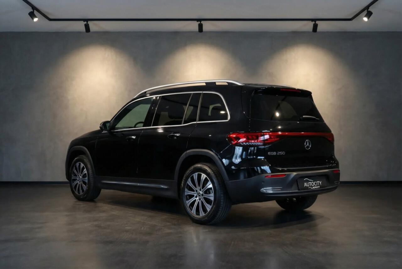 Mercedes-Benz EQB EQB 250 67 kWh 7 Persoons l Leder l Camera l Widescreen