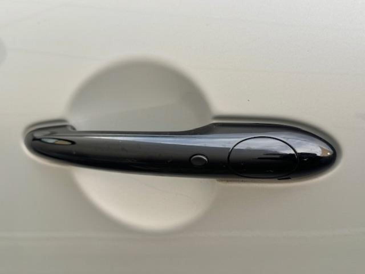 Mini COUNTRYMAN Mini 2.0 Cooper S E ALL4 John Cooper Works Panoramadak, H/K, HUD, Camera, enz