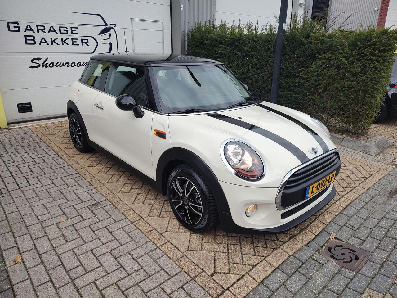 Mini ONE Mini 1.5 Salt Bi-Tone 6-Bak