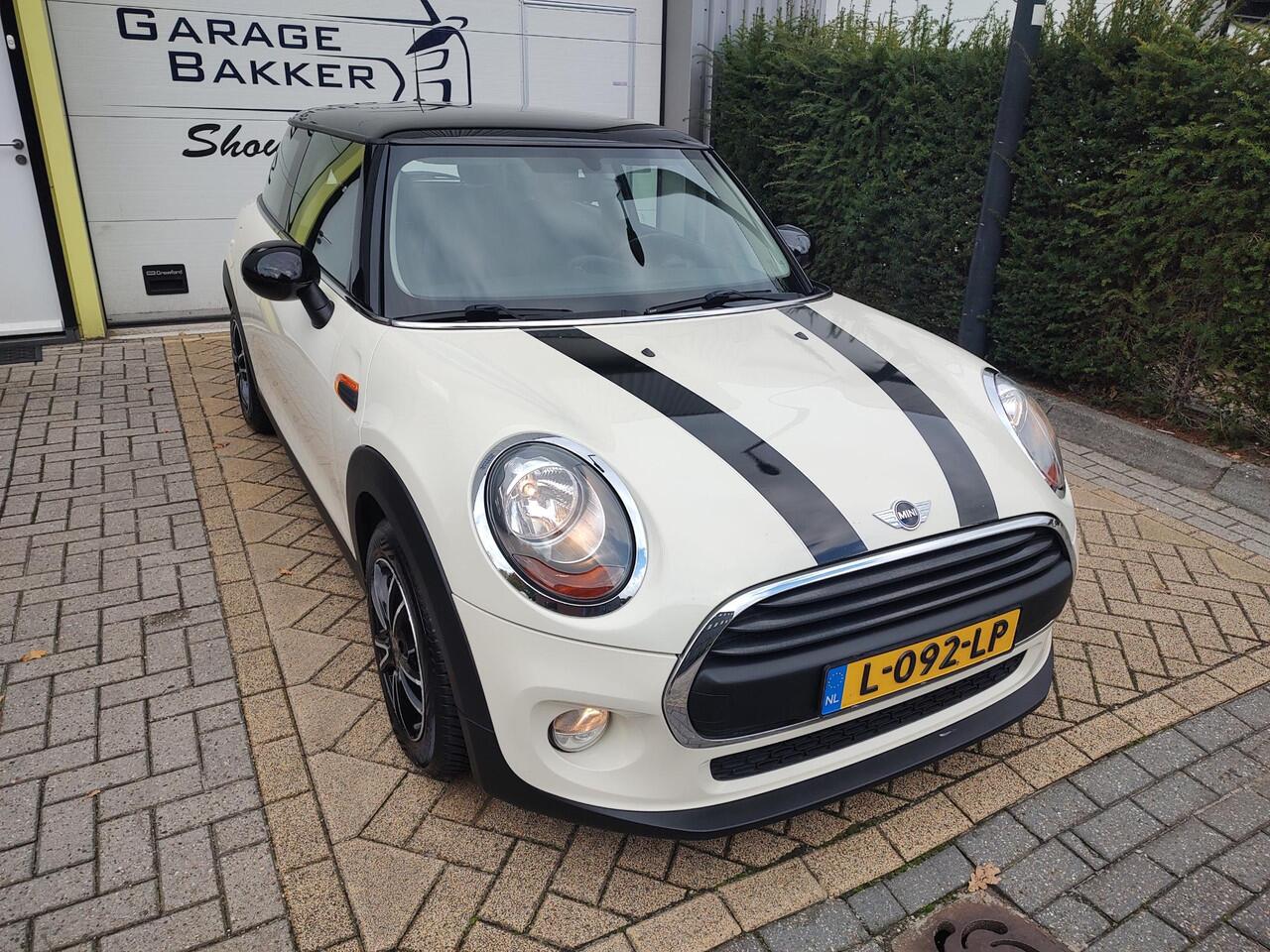 Mini ONE Mini 1.5 Salt Bi-Tone 6-Bak