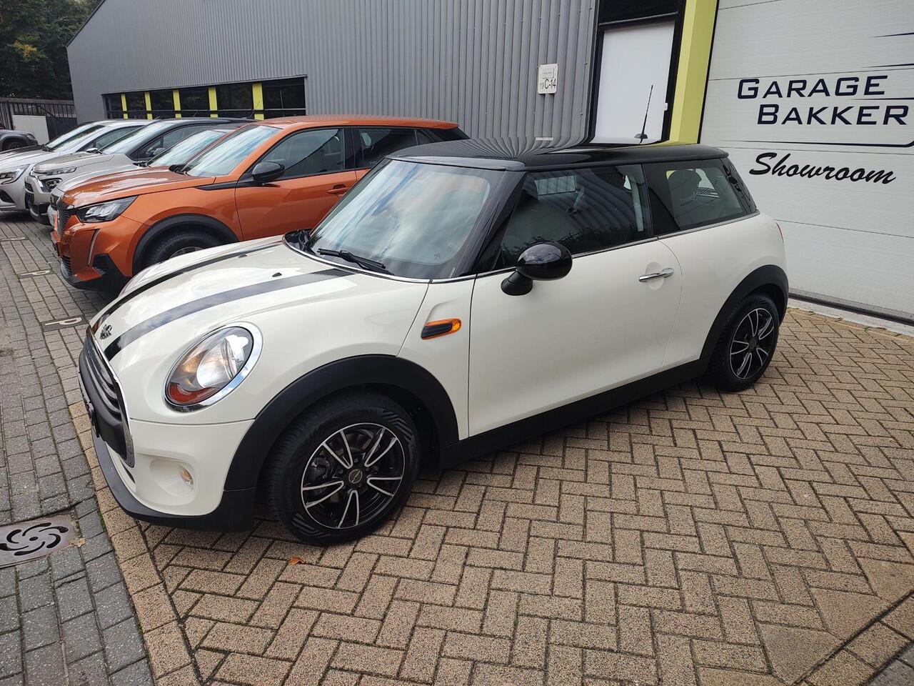 Mini ONE Mini 1.5 Salt Bi-Tone 6-Bak