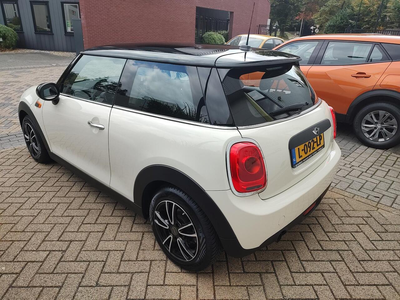 Mini ONE Mini 1.5 Salt Bi-Tone 6-Bak