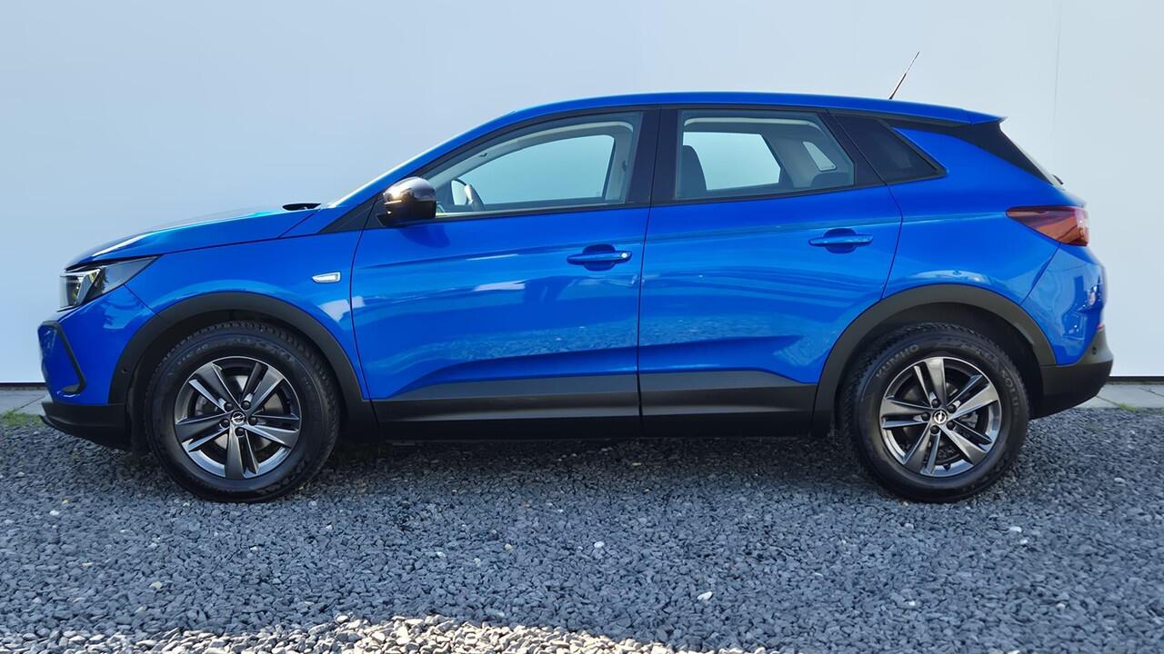 Opel Grandland 1.2 Turbo Business Edition Zicht en Licht pakket - Winter pakket