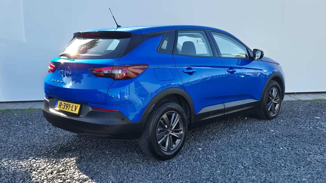 Opel Grandland 1.2 Turbo Business Edition Zicht en Licht pakket - Winter pakket