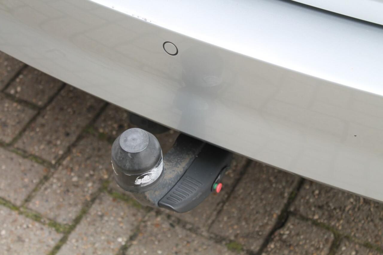 Skoda FABIA 1.0 TSI BUSINESS EDITION CLIMA CRUISE NAVI PDC TREKHAAK