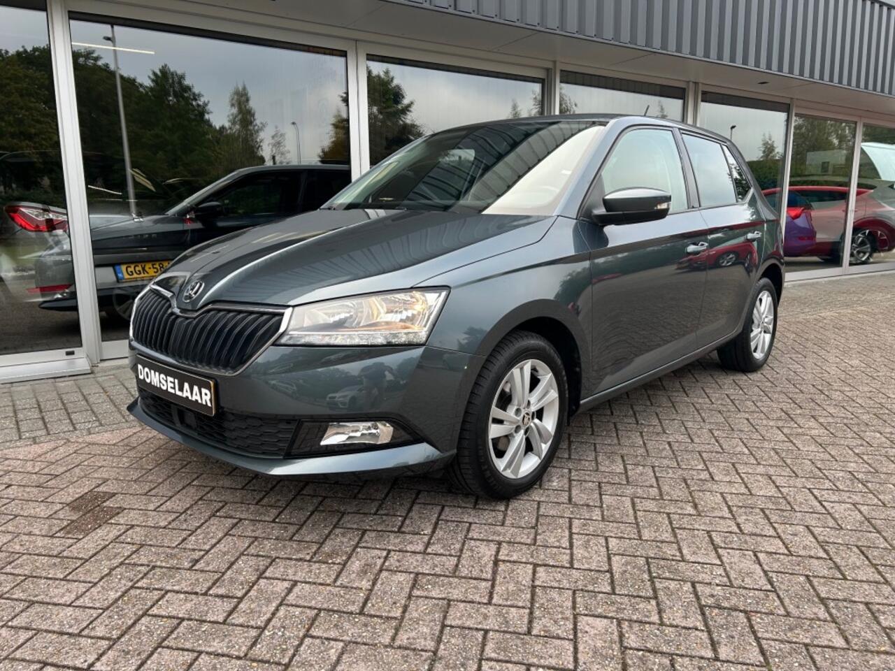 Skoda FABIA 1.0 TSI Online Edition