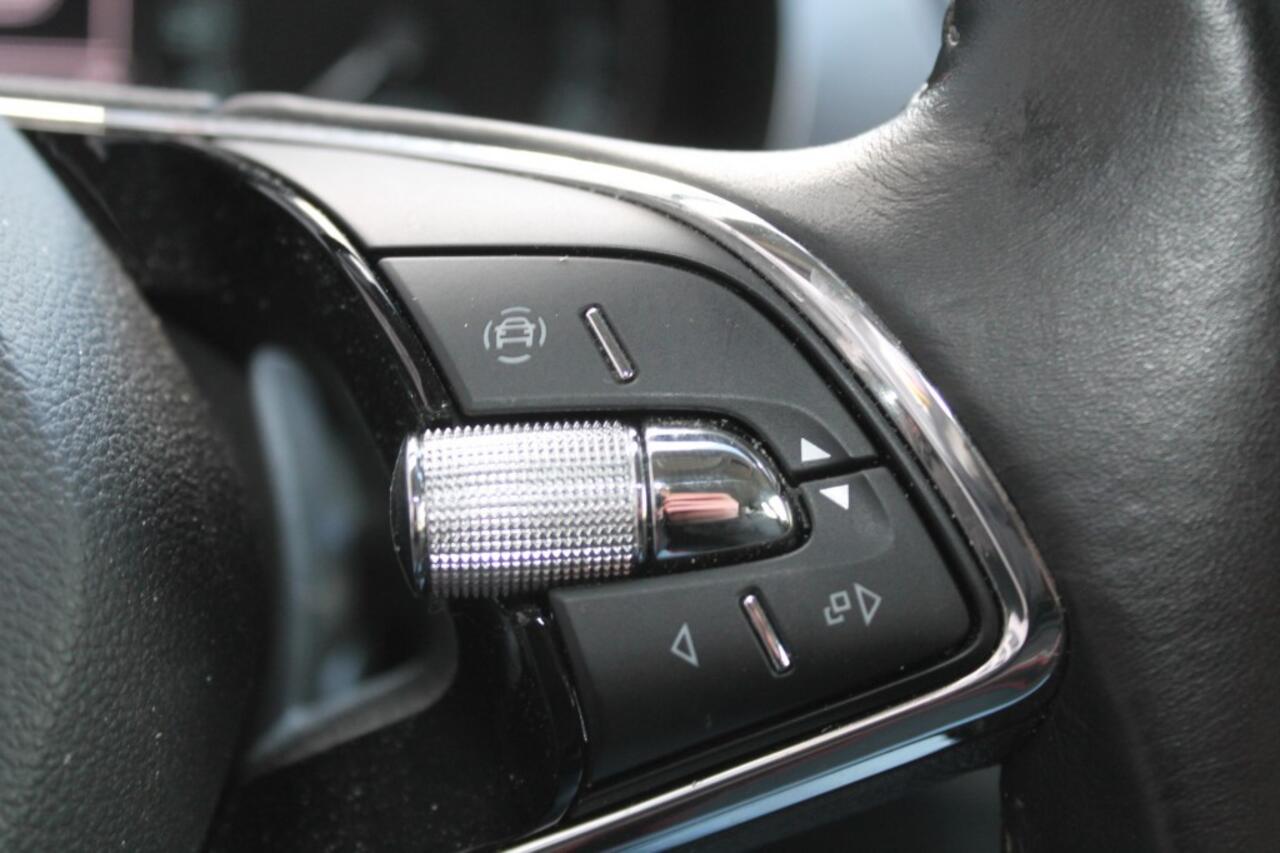 Skoda FABIA 1.0 TSI BUSINESS EDITION AIRCO ANDROIDAUTO/APPLECARPLAY CRUISECONTROLE