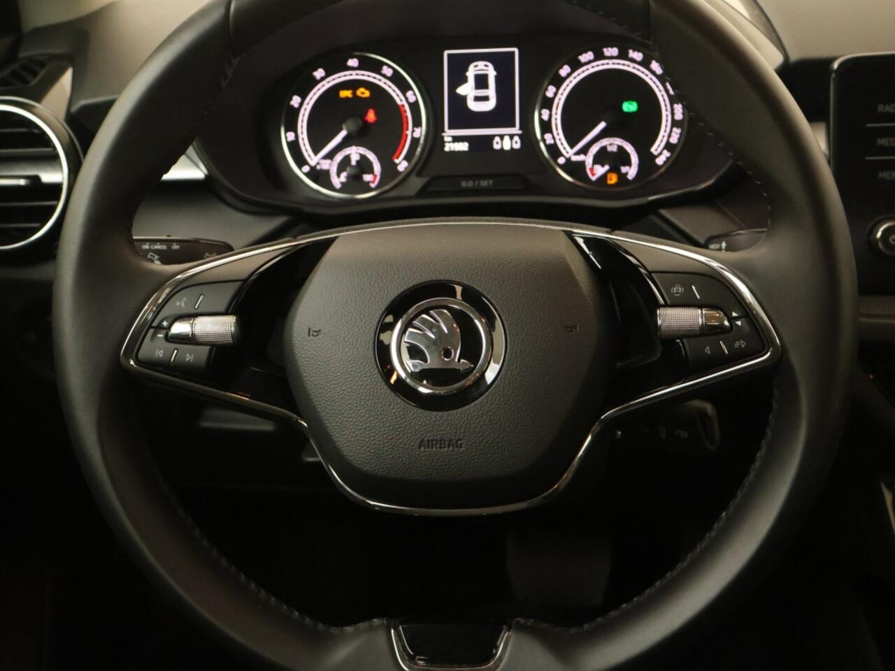 Skoda FABIA 1.0 TSI (110Pk) DSG Ambition Winterpakket Géén Afleverkosten