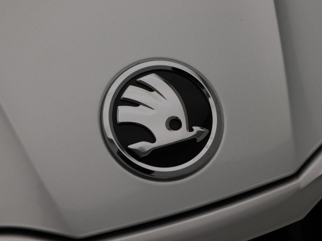 Skoda FABIA 1.0 TSi 110 Pk Automaat Business Edition | Cruise Control | Climate Control | Parkeersensoren | Stoelverwarming | Bluetooth | Carplay | 15 Inch | 33.912 Km!!