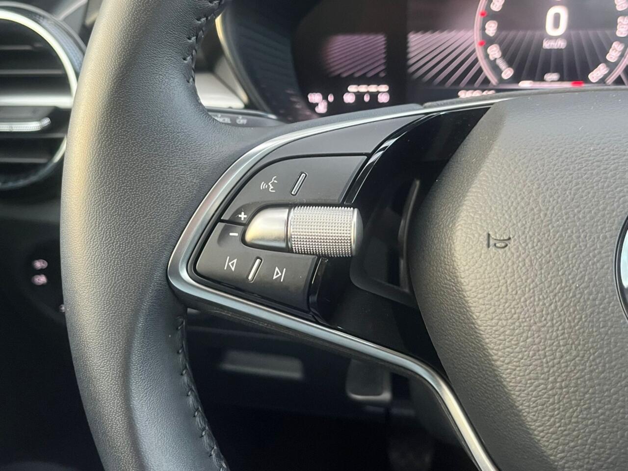 Skoda FABIA 1.0 MPI 80pk Business Edition | Carplay