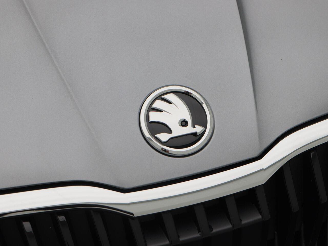 Skoda FABIA Selection 1.0 TSI 95 PK | Parkeersensnoren | Cruise control | Privacy glas | Apple carplay / Android auto