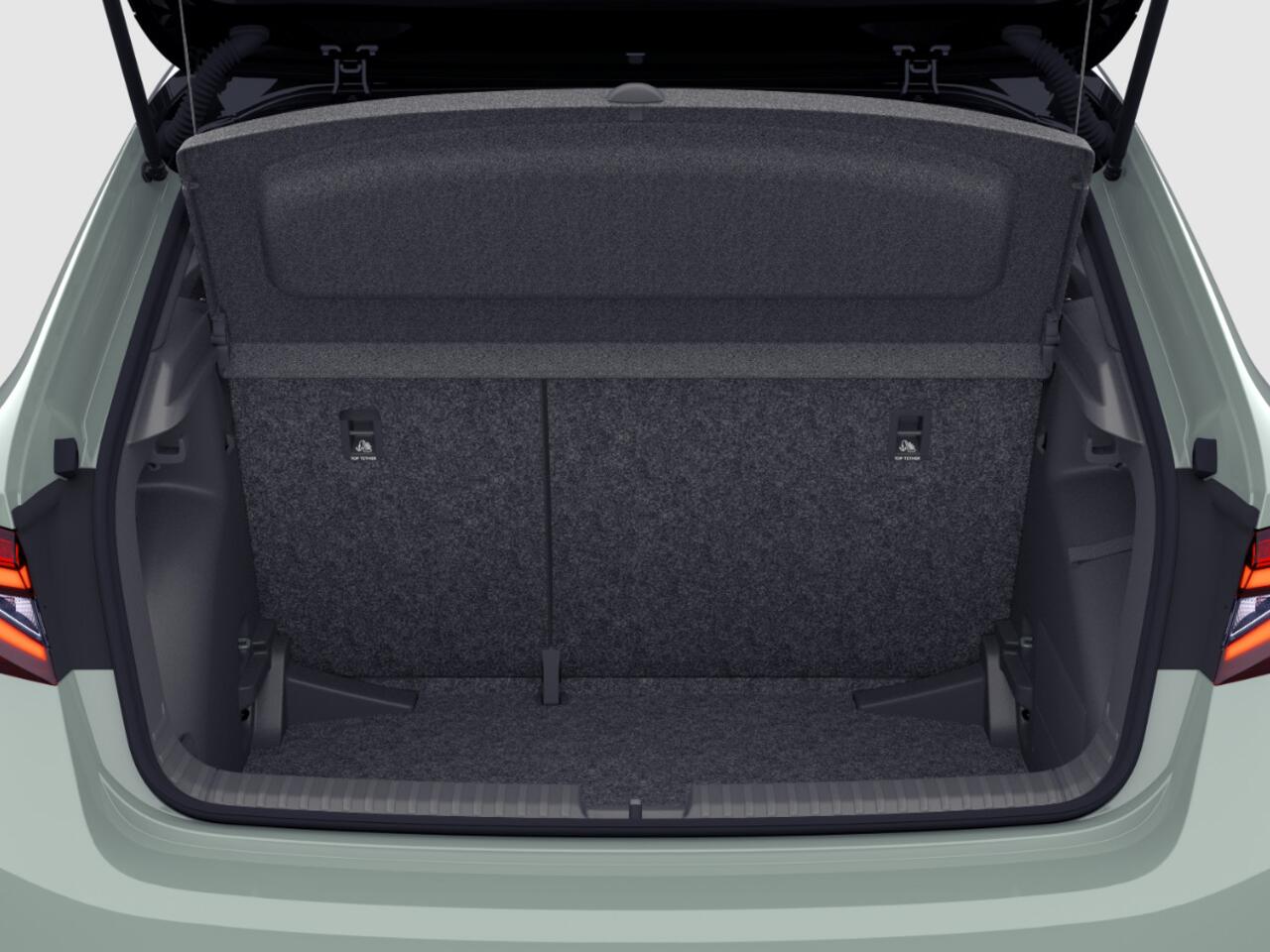 Skoda FABIA Monte Carlo 1.0 TSI 85 kW / 115 PK Hatchback 7 ver snelling | Timiano green black magic | 2000,- inruilbonus