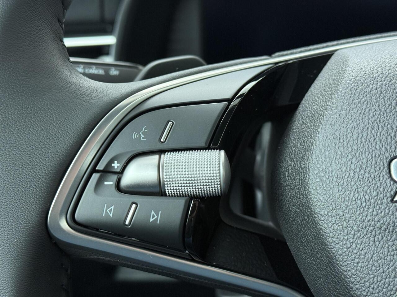 Skoda Kamiq Business Edition 1.0 TSI 115 PK DSG | Automaat | Trekhaak | Winterpakket |