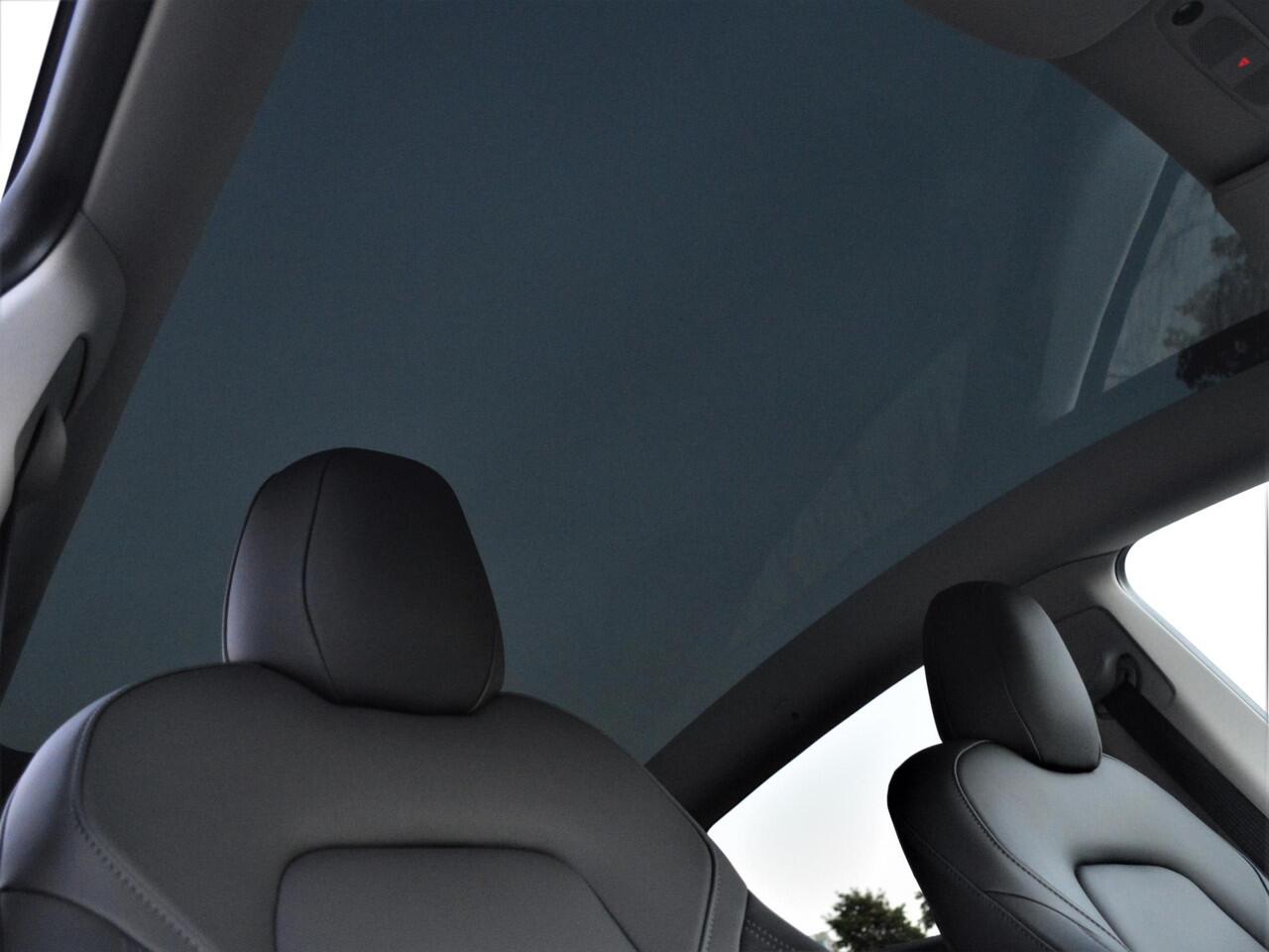 Tesla Model Y Long Range AWD | Trekhaak