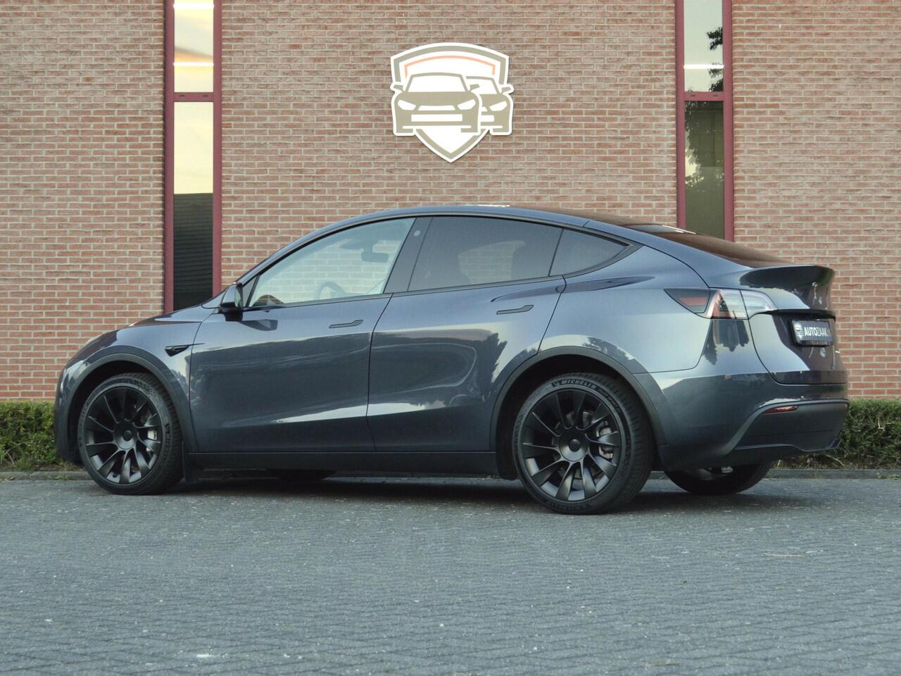 Tesla Model Y Long Range AWD | Trekhaak