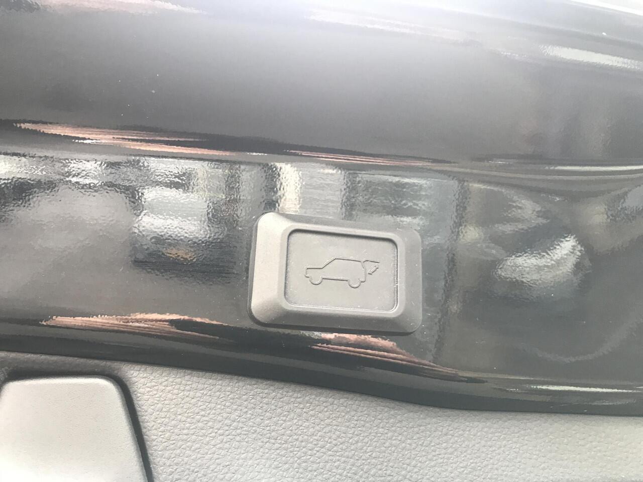 Toyota RAV4 2.5 Hybrid AWD Black Edition 360camera