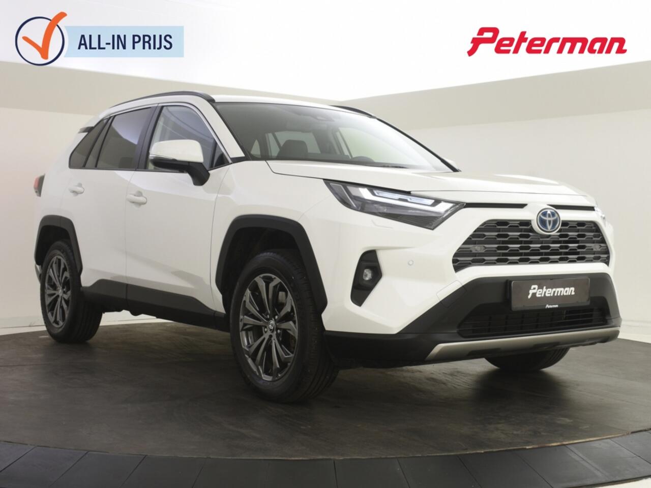 Toyota RAV4 2.5 Hybrid AWD Executive | Trekhaak | JBL | BLS | PDC V+A