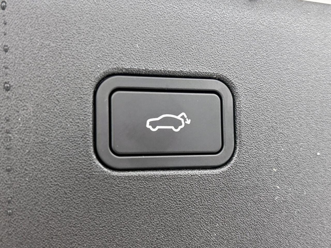 Volvo EX30 Plus Extended range | Nieuw | Voorraad | Climate pack | Camera